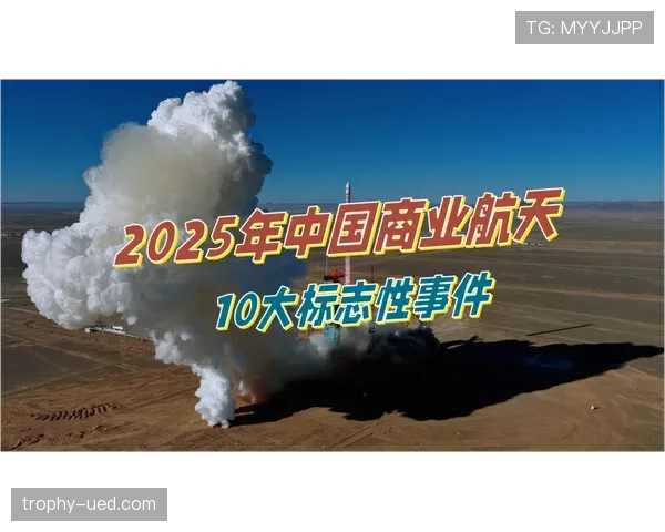 帕尔默与萨卡技术全面性差距的关键维度解析